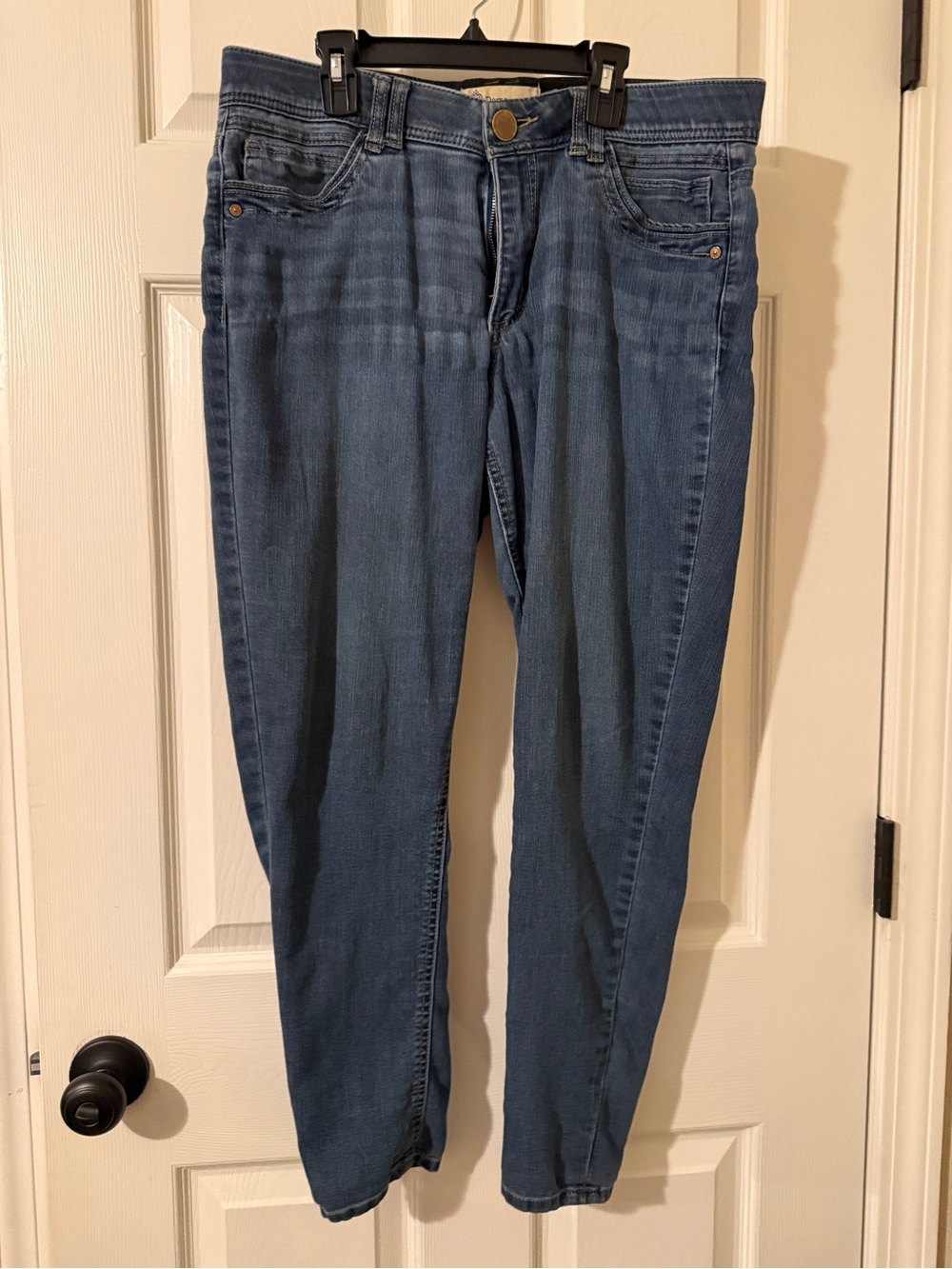 Democracy Skinny Jeans in Medium Blue Wash
